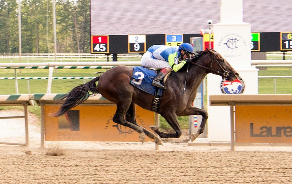 Resultado de imagen para no dozing horses imagenes remsen stakes