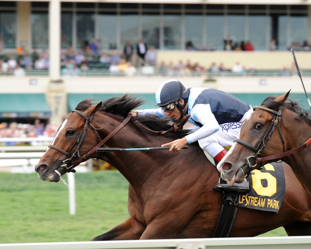 War Correspondent, here winning the Appleton, has eyes on the Grade 2 Dixie on Preakness day. Photo by Lauren King.