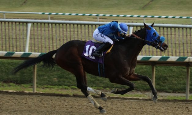 First Laurel Park stakes of ’17 draw 51 noms