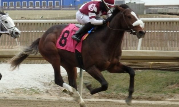 Generous Jack, Blackjack Buster secure maiden wins