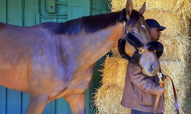 Royal Mo injured, out of Preakness