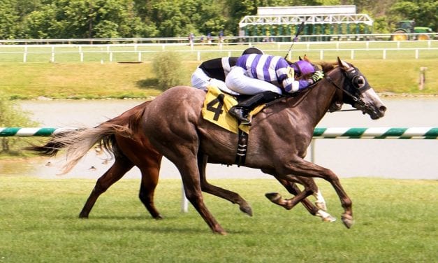 Debut runners in impress in Laurel maiden events