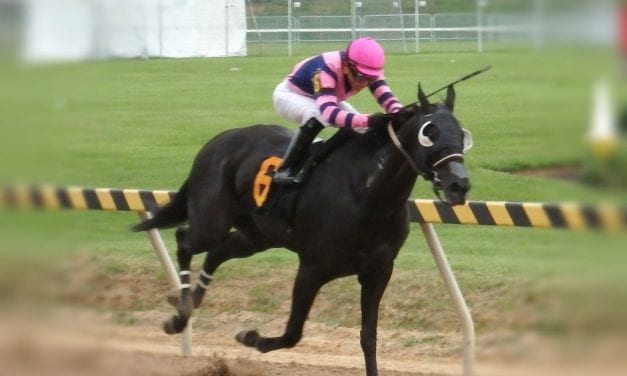 “Surprise” homebred Willie B Mine takes Big T feature