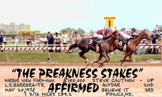 Preakness Past: Affirmed and Alydar