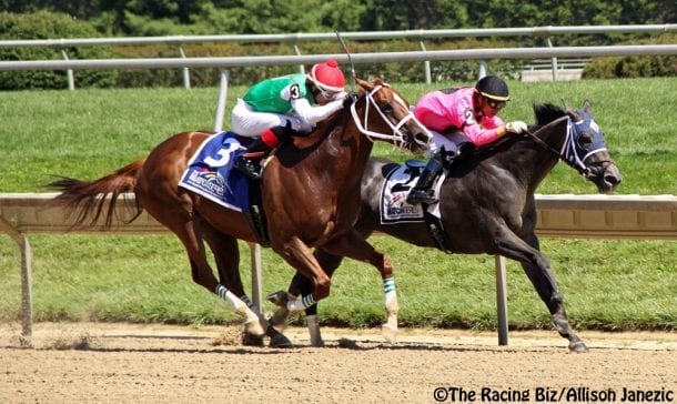 Bronx Beauty wins stirring Dashing Beauty to top MATCH Series * The ...