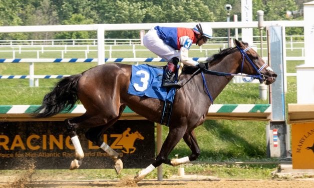 Harpers First Ride impresses in Laurel allowance