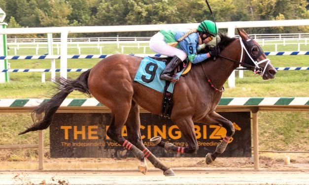 Depository and more: 2day in Midlantic 2yo