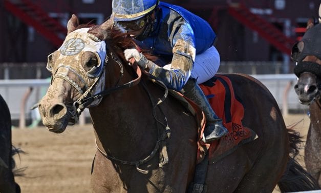 Preakness: Mystic Guide under consideration