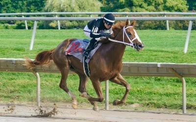 Mid-Atlantic racing today