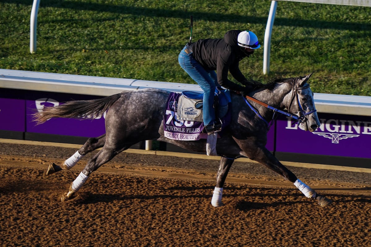 Crazy Beautiful tops G3 Delaware Oaks field * The Racing Biz