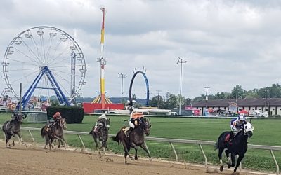 Timonium picks and ponderings: September 2, 2024