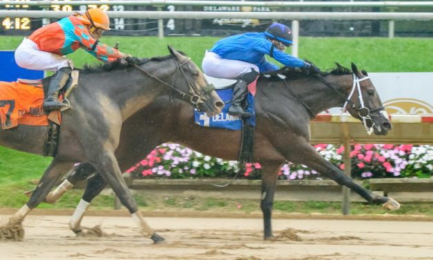 Cooke Creek scores in Rocky Run Stakes