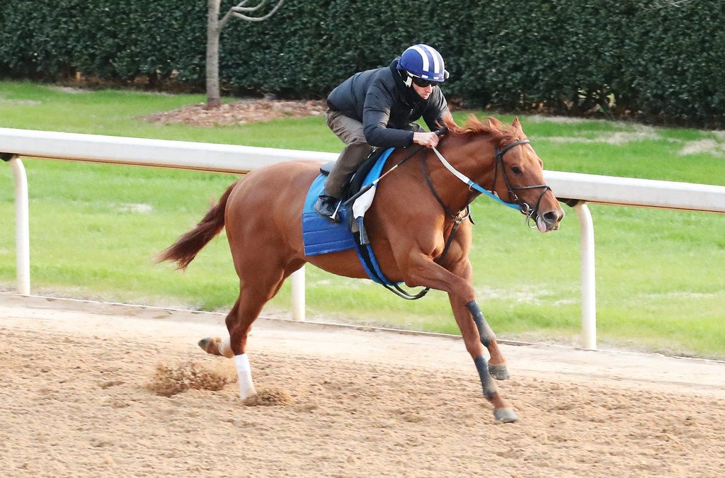 Preakness profile: Uncle Heavy