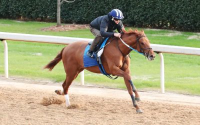 Preakness profile: Uncle Heavy