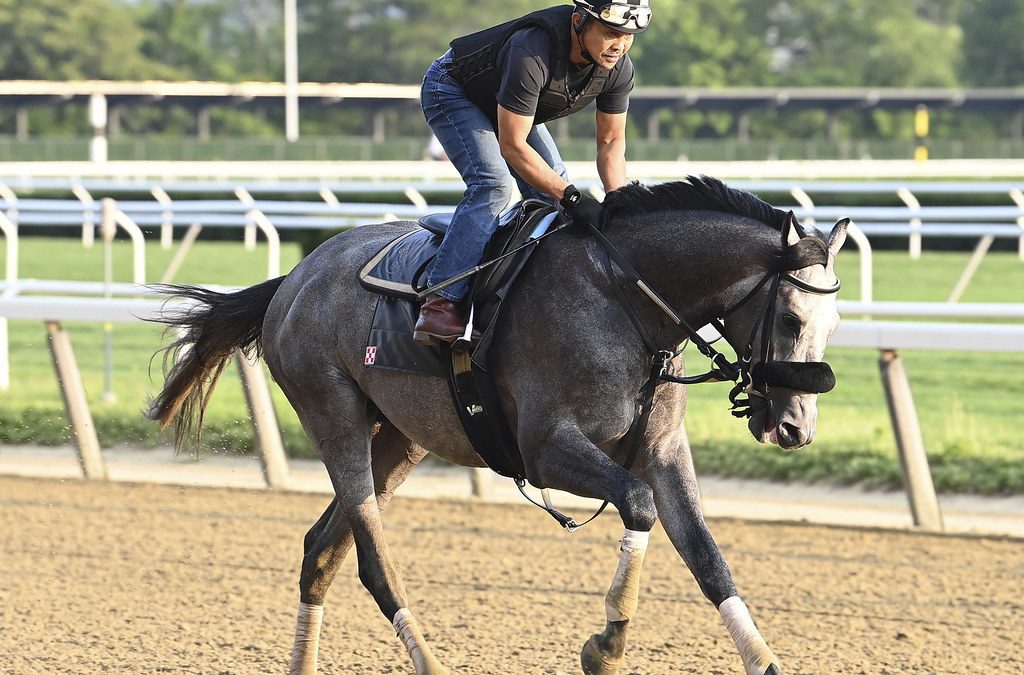 Coverage of the 148th Preakness Stakes - The Baltimore Banner