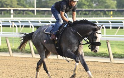 Arcangelo scores in Belmont