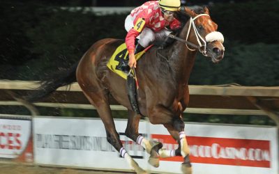 Great Spirit looks to stretch out in Bishop