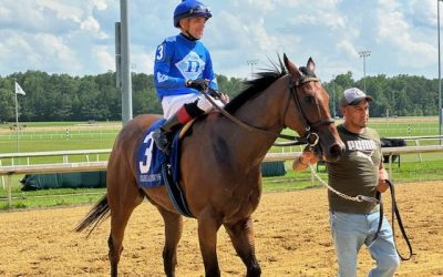 Big fields abound on Virginia Derby undercard