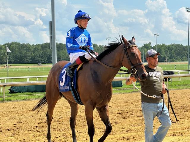 Determined Kingdom named Va-bred horse of the year * The Racing Biz