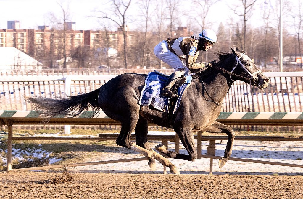 Experts’ Belmont Stakes undercard stakes picks