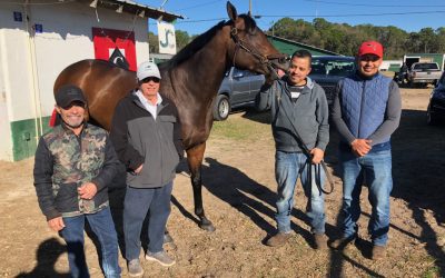 Triple Crown: Big field set to contest Sam F. Davis