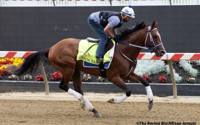 “Fresh” Mystik Dan to head to Spa, may contest Belmont