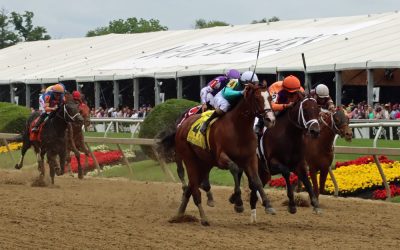 Pyrenees rallies late to summit Pimlico Special