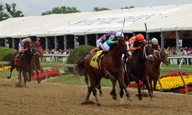 Pyrenees rallies late to summit Pimlico Special