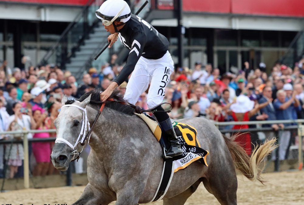 Belmont Stakes 2024 horse-by-horse analysis and picks