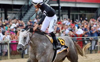 Belmont Stakes 2024 horse-by-horse analysis and picks