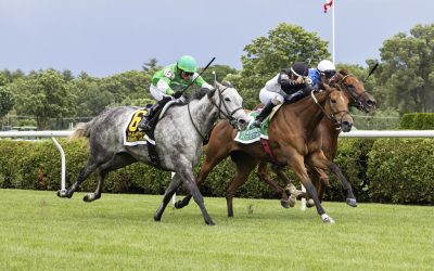 Future Is Now, Roses for Debra tussle at the Spa