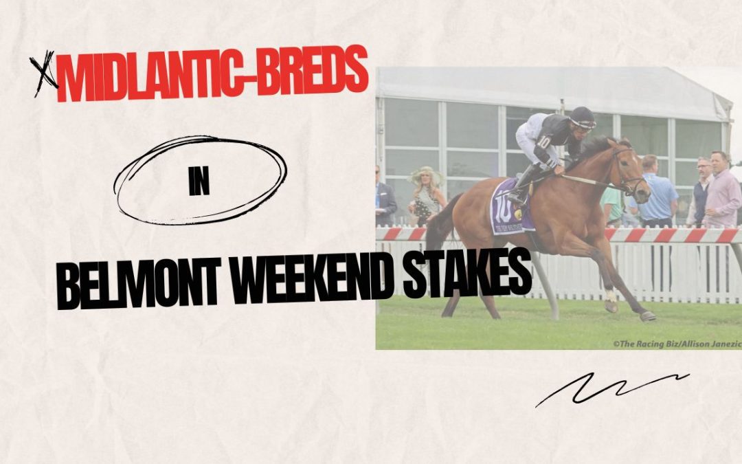 VIDEO: Meet the Midlantic-breds of Belmont Stakes weekend