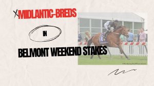 VIDEO: Meet the Midlantic-breds of Belmont Stakes weekend