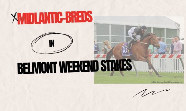 VIDEO: Meet the Midlantic-breds of Belmont Stakes weekend