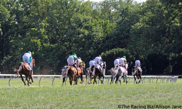 Which jockeys, trainers had best Delaware Park meets?