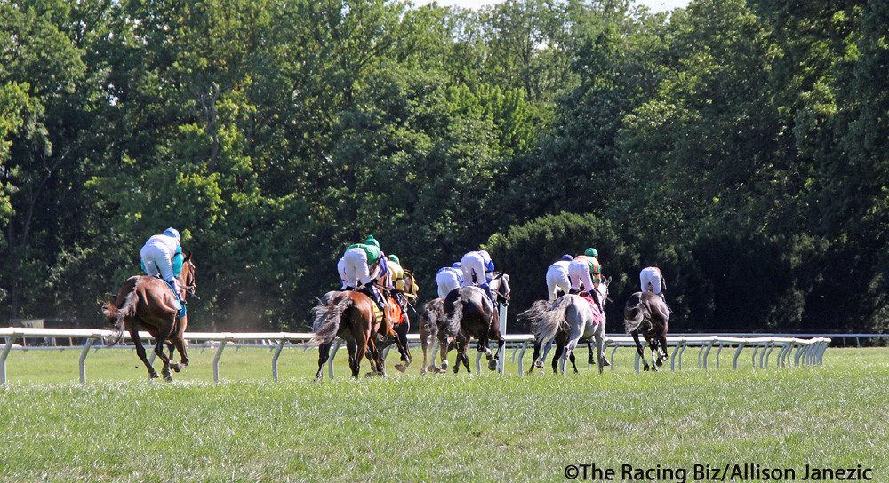 Delaware Park