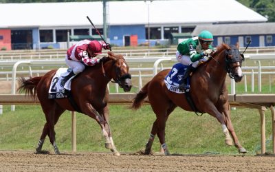 FREE handicapping contest Saturday