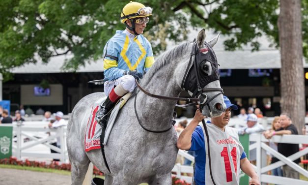 The Grey Wizard hopes to conjure up Cape Henlopen win