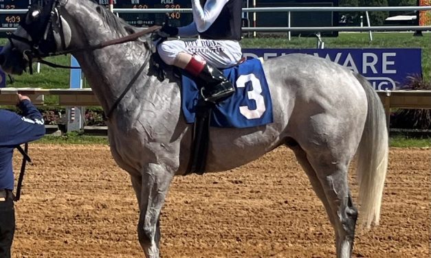 The Grey Wizard scores in Cape Henlopen