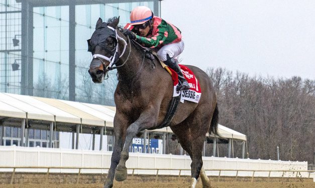 Saddle Up Jessie installed as Obeah favorite