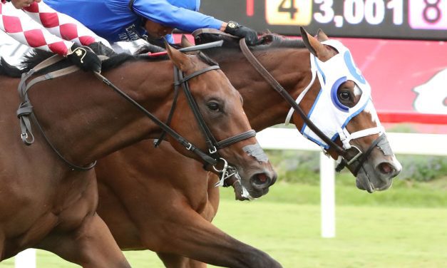 Siesta Key takes Kitten’s Joy thriller