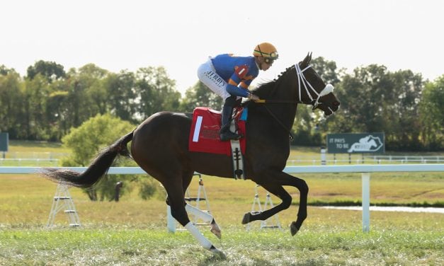 Stakes-placed 2yo added to Inglis Digital sale