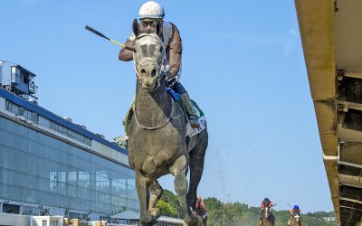 Back home, Post Time could target Cigar Mile