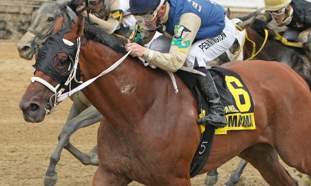 Irish Maxima scores in Weather Vane