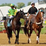 Crabs N Beer has to win Maryland Million Turf, right?