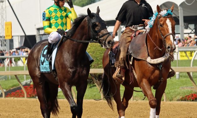 Crabs N Beer has to win Maryland Million Turf, right?