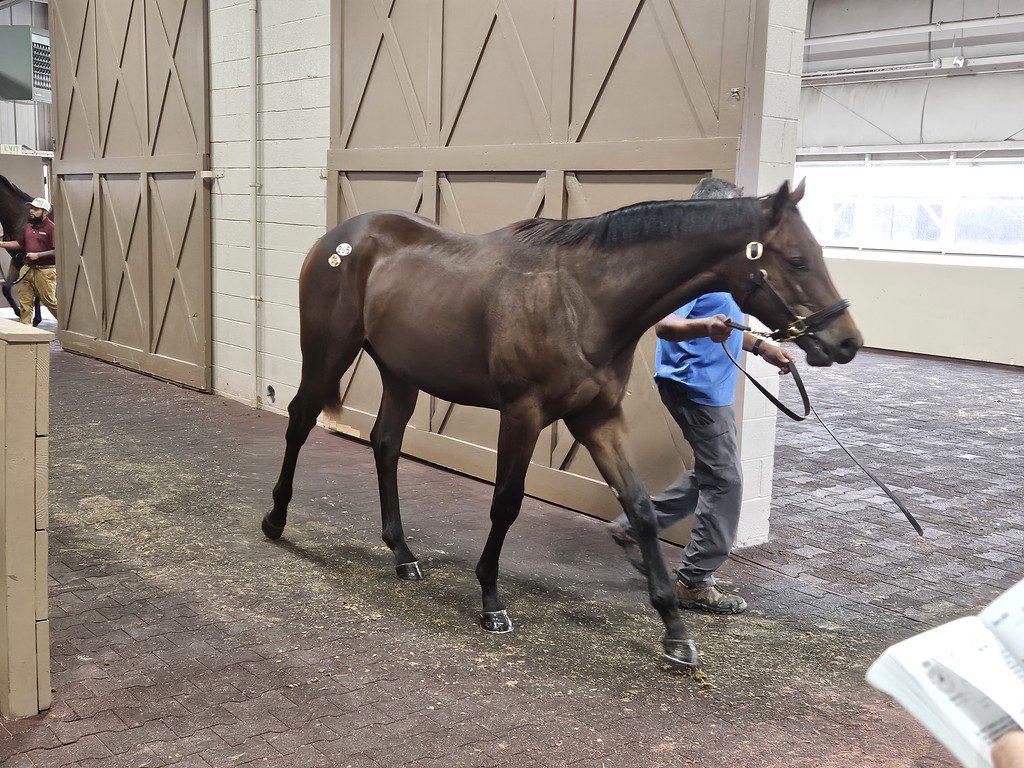 Fasig-Tipton