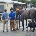 Smaller Fasig-Tipton yearling sale topped by Maryland-bred