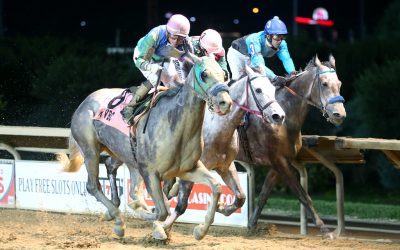 Runaldo up late to win Sam Huff WV Breeders Classic