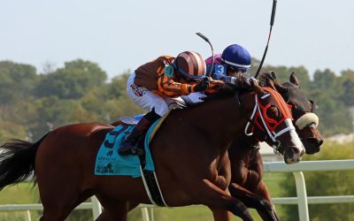 Jevian Toledo proud to join Prado atop Maryland Million